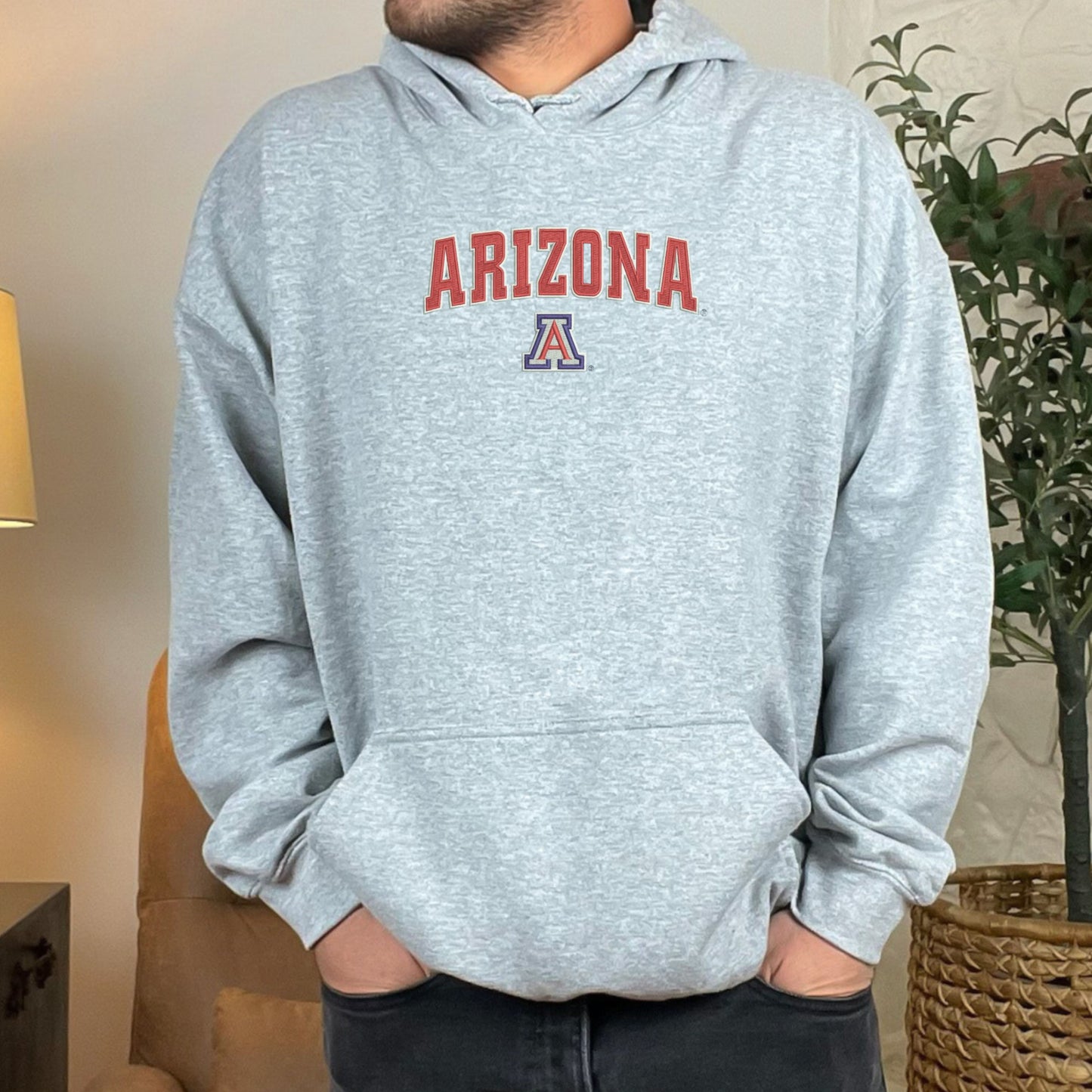 Arizona A Grey Hoodie