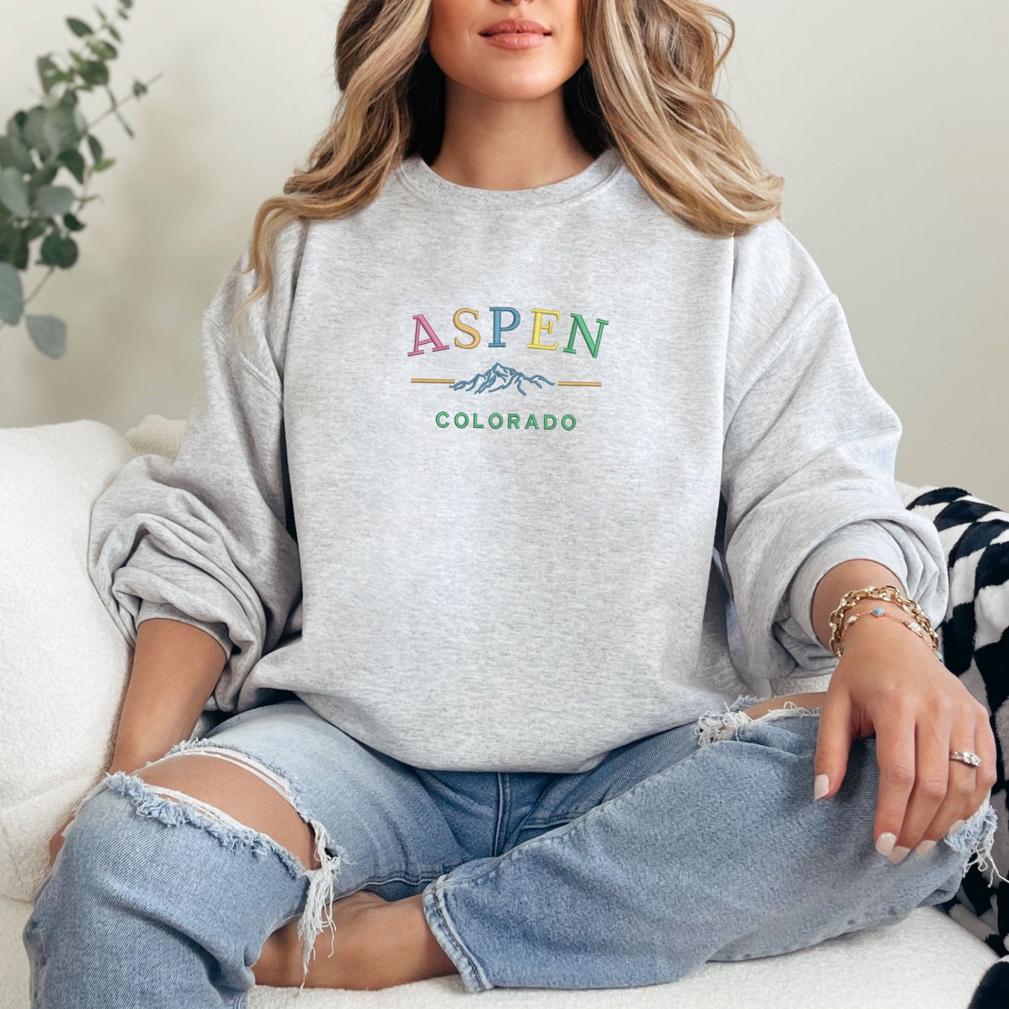 Aspen Colorado Typography Grey Sweatshirt